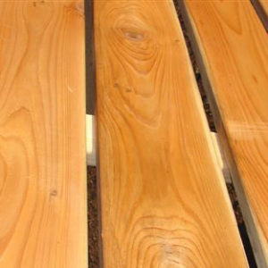 Western Red Cedar